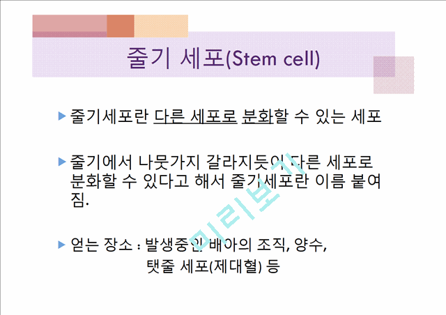 [3000원] 줄기세포와인간배아,줄기세포 연구의 단점(문제점),인간 복제의 가능성,배아 줄기 세포 활용 사례.pptx